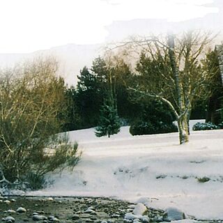 Coylumbridge Aviemore Hotel