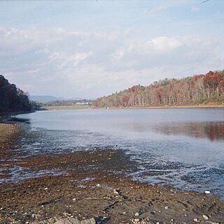 Senedo Springs — Lake Laura