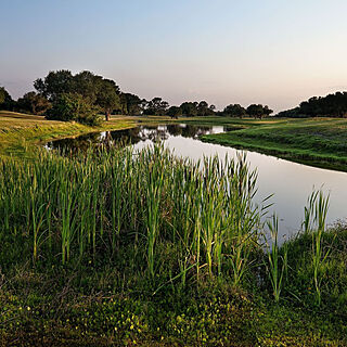 Westgate River Ranch Resort & Rodeo — Property Grounds