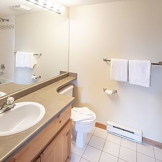 Valhalla Vacations at Whistler — Sample Bathroom