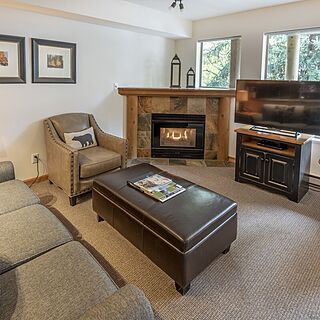 Valhalla Vacations at Whistler — Sample Living Area