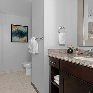 Marriott's Grand Chateau &mdash; Sample Bathroom
