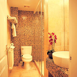 Absolute Private Residence Club at Jinqiao &mdash; - Unit Bathroom