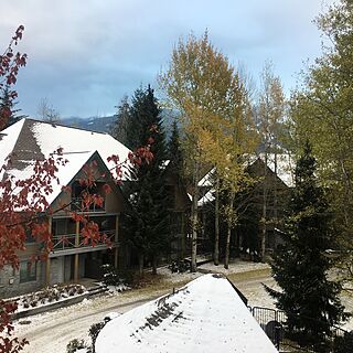 Valhalla Vacations at Whistler — Grounds