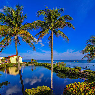 Florida Bay Club — Grounds