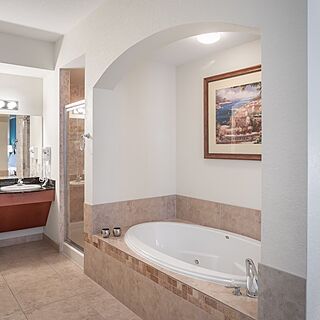 Lake Buena Vista Resort Village & Spa — Sample Bathroom