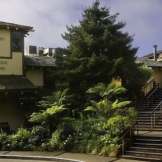Hyatt Residence Club Carmel, Highlands Inn &mdash; Exterior