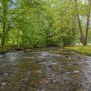 Peppertree Maggie Valley — Grounds