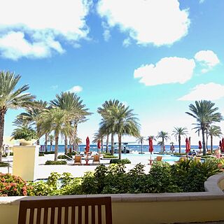 Dawn Beach Club — Grounds