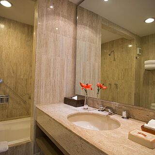 Club Velas Vallarta — Sample Bathroom