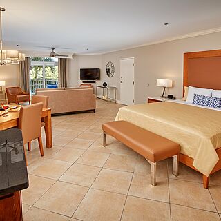 Divi Village Golf and Beach Resort — Sample studio golf suite