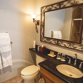 ROVCA at Great Gorge Village — Sample Bathroom
