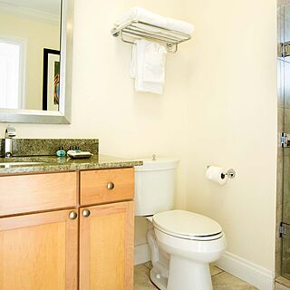 Alexandra Resort and Spa — Sample Bathroom