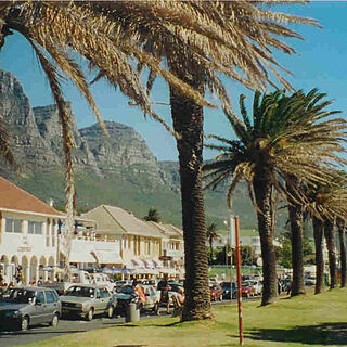 The Place on the Bay — - Beach