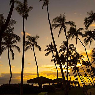 Hyatt Vacation Club at Ka'anapali Beach &mdash; Beach