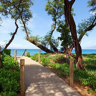 The Westin Nanea Ocean Villas — Beach Walkway