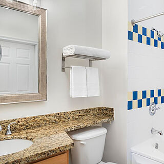 Harborside Resort at Atlantis &mdash; Sample Bathroom