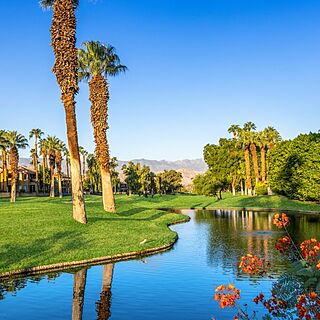 Marriott's Desert Springs Villas II — Grounds Ponds