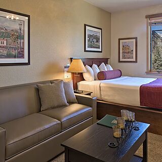 Grand Timber Lodge — Sample Studio Unit