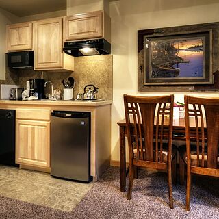 Grand Timber Lodge — Sample Studio Unit