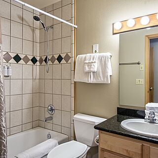 Grand Timber Lodge — Sample Bathroom