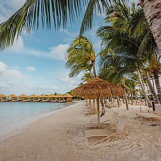 Renaissance Wind Creek Aruba - Ocean Suites — Beach With Loungers and Umbrellas