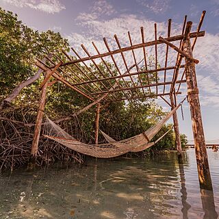 Renaissance Wind Creek Aruba - Ocean Suites — Hammocks