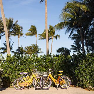 Marriott's Ocean Pointe — Bike Rentals