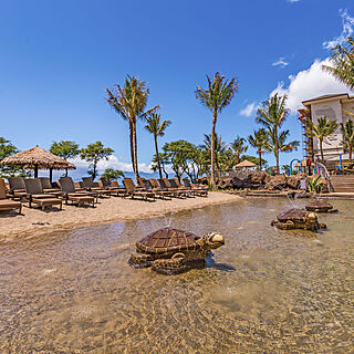 The Westin Nanea Ocean Villas — Beach Entry Walk-in Pool