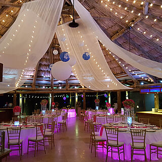 Divi Aruba Phoenix Beach Resort — Special Events
