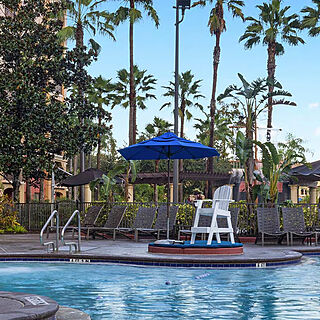 Club Wyndham Bonnet Creek Resort — Waterslide with Surrounding Loungers and Umbrellas