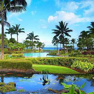 The Westin Kaanapali Ocean Resort Villas North — Grounds Pool With Pool and Ocean View