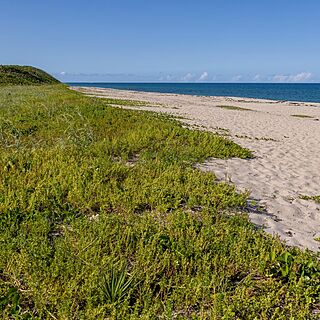 Marriott's Oceana Palms — MacArthur Beach State Park