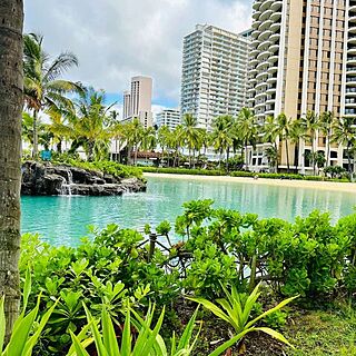 Lagoon Tower by Hilton Grand Vacations — Lagoon