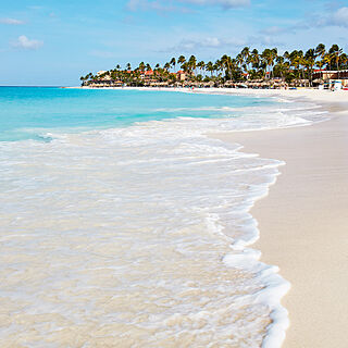 Divi Village Golf and Beach Resort — Beach