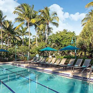 Hyatt Vacation Club At Coconut Cove — Pool With Loungers and Umbrellas