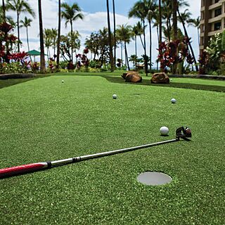 Marriott's Maui Ocean Club - Napili Tower — Minigolf