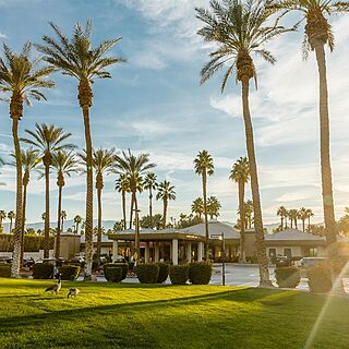 Marriott's Desert Springs Villas — Resort Entrance
