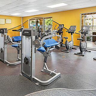 Marriott's Desert Springs Villas — Fitness Center