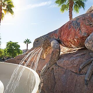Marriott's Shadow Ridge - The Villages &mdash; Water Slide