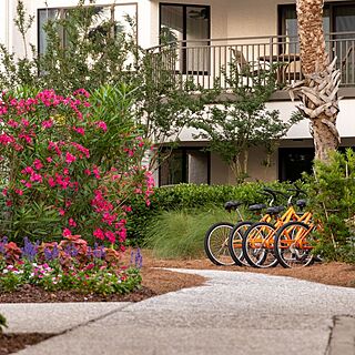 Marriott's Harbour Point and Sunset Pointe at Shelter Cove &mdash; Bike Rentals