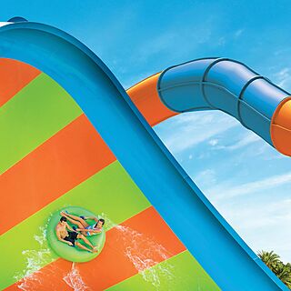 Sheraton Vistana Resort — Nearby Aquatica Orlando