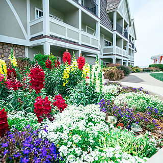 Carlsbad Inn Beach Resort — Garden