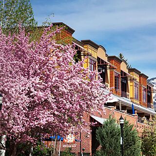 Sheraton Steamboat Resort Villas — Nearby Downtown Steamboat Springs
