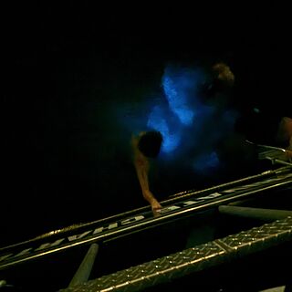 Trip to phosphorescent water