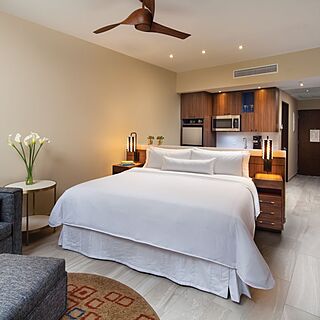 The Westin Los Cabos Resort Villas & Spa — Sample Studio Unit