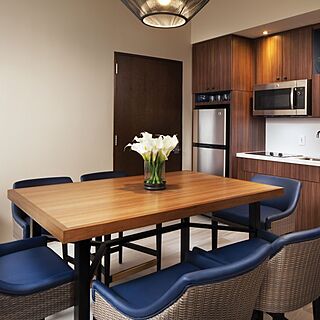 The Westin Los Cabos Resort Villas & Spa — Sample Kitchen