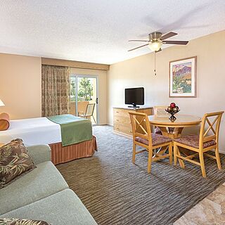 WorldMark Palm Springs - Plaza Resort and Spa — Sample Studio Unit