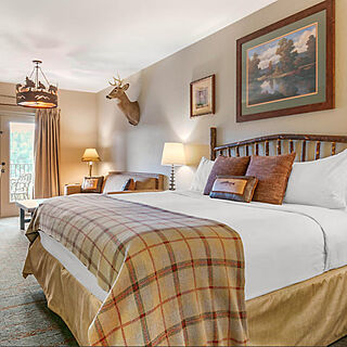 Big Cedar Wilderness Club &mdash; Sample Bedroom