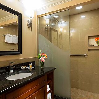 Divi Village Golf and Beach Resort — Sample studio bathroom